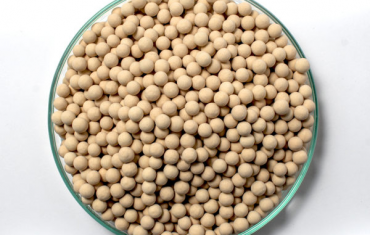 A Guide to Molecular Sieves